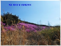 경남청녕 관룡산,화왕산 진달래산행(2019/04/13)＜용선대~관룡산~허준세트장＞ > 테마산행