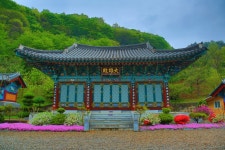 봉화 봉룡사 - 국내 여행지 - 녹동귀농마을 봉화 봉룡사