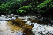 제9회 포항 천령산(775m)청아골 보경사 계곡 산행 - 산행일정 및 신청방 - 평택 산누리 산악회 평택 산누리 산악회