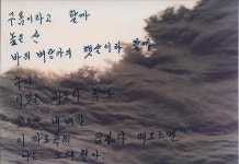 아련한 추억 - 강릉시요트협회 - 강원도요트협회 아련한 추억