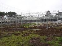 Re:가입했습니다 - 일반 게시판 - 커피나무숲 Re:가입했습니다