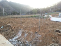 2014.4.6 이팝30주 아래 산39-1 임야로 30주 이식 - 블루엔젤 - 꽃과나무 농장 (주) 임해원 2014.4.6 이팝30주 아래 산39-1 임야로 30주 이식