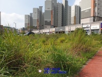 상가부지로 좋은 목포토지매매 - 목포 - 부동산 백화점 상가부지로 좋은 목포토지매매