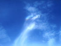 순흥안씨 안자미 시조묘 동영상 왕후장상(王侯將相) 안동옥 금도환국... 순흥안씨 안자미 시조묘 동영상 왕후장상(王侯將相) 안동옥 금도환국... 