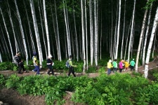산수(山水) 산악회 | 9/12 토요당일-명품숲-인제 자작나무숲길 힐링 트레킹 안내-신청하기 - Daum 카페 9/12 토요당일-명품숲-인제 자작나무숲길... 