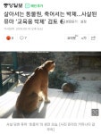 살아서는 동물원, 죽어서는 박제…사살된 퓨마 ‘교육용 박제’ 검토... 공간 살아서는 동물원, 죽어서는 박제…사살된 퓨마 ‘교육용 박제’ 검토