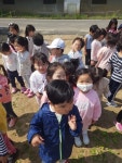 땅콩심기♥ - 유치원 다솜반,가온반,빛솔반 - 포천아람유치원♥어린이집 땅콩심기♥
