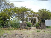 제주 올래11코스 - 춤쟁이 제주 올레길 - 댄스매니아들 제주 올래11코스