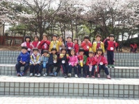 벚꽃구경 - 유경원 견학사진 모음집 - 유경원어린이집 벚꽃구경