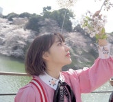미야와키 사쿠라 레전드짤이라고 생각하는 사진 - 웃긴자료 ‥‥‥‥‥、 - 도탁스 (DOTAX) 미야와키 사쿠라 레전드짤이라고 생각하는 사진