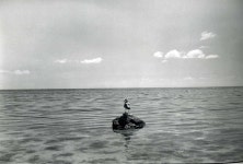 유머 사진 작가 엘리엇 어윗(Elliott Erwitt)