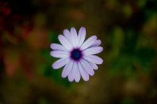 오늘의유머 - [출사후기] 양재시민의 숲 [출사후기] 양재시민의 숲