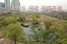 여의도 한가운데 이런곳이? -- 여의도 샛강 생태공원
