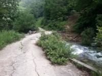 화천 비수구미 마을 트레킹(해산령터널-비수구미계곡 임도-비수구미 왕복 12km,5시간 소요) 비수구미 민박- 비빔밥 - 뽐뿌:등산포럼 화천... 