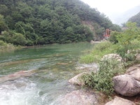 화천 비수구미 마을 트레킹(해산령터널-비수구미계곡 임도-비수구미 왕복 12km,5시간 소요) 비수구미 민박- 비빔밥 - 뽐뿌:등산포럼 화천... 