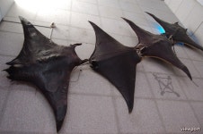 여수여행] 전라남도 해양수산과학관 - 물고기를 손으로 잡는 체험을 해볼수 있는곳