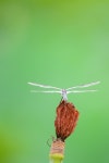 오늘의유머 - 비 갠 오후 비 갠 오후