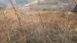 도후원 과수농원 | 증조부 산소 리모델링(사초) - Daum 카페 증조부 산소 리모델링(사초)