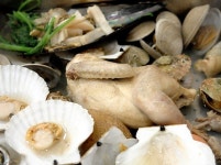 닭과 조개 - 카페 앨범 - 조개까는집 닭과 조개