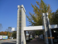 10/30. 목포대학교 박물관을 찾아 1 - 자유게시판 - 순천대박물관 공식카페 10/30. 목포대학교 박물관을 찾아 1