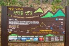 제161회 창원 동행산악회4월7일(일요일)해남 천년숲 산행에 회원님들을 초대합니다.| - 산행안내 및 신청방☏ - 창원동행산악회 제161회 창원... 