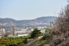 [꽃놀이]향긋했던 부천 도당산 벚꽃축제