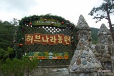 평창] 봉평 허브나라 농원 - 여름휴가 추천지 / 휘닉스파크 인근 ,평창 가볼만한 곳
