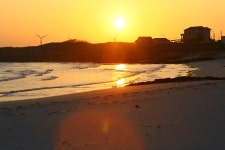 외방커뮤니티 > 여행/해외 > 제주도 게스트하우스 후기:) + 동문시장