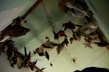 [D40] 7월 집수리자봉 - 진구 당감동 - 니콘