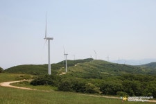 한적한 여행지로 추천하는 대관령 삼양목장