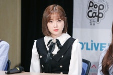 에펨네이션 - 금조
