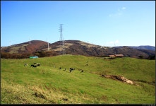 [사진] 이른 가을에 방문한 대관령 삼양목장 - DVDPrime