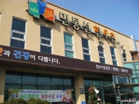 야생 독수리 탐조 여행 - 철원평야에서 만난 독수리들