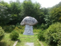 비수구미 민박- 비빔밥 - 뽐뿌:등산포럼 화천 비수구미 마을 트레킹... 임도-비수구미 왕복 12km,5시간 소요) 비수구미 민박- 비빔밥