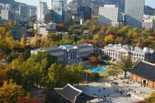 서울 정동전망대에서 느끼는 덕수궁의 단풍