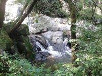 경기도 광주, 시원한 남한산성 계곡으로 놀러가자! : 기획기사 : 경기도뉴스포털