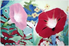 [대구]대구 삼덕동 벽화골목 - 여행-국내 갤러리