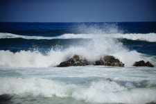 오늘의유머 - 봄바다 봄바다