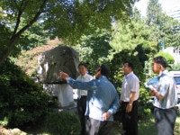 아픈 나무를 돌보는 병원이 있다?