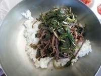 화천 비수구미 마을 트레킹(해산령터널-비수구미계곡 임도-비수구미 왕복 12km,5시간 소요) 비수구미 민박- 비빔밥 - 뽐뿌:등산포럼 화천... 