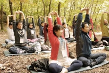 WIKITREE | 힐링-웰빙 열풍에 떠오르는 산림 일자리 힐링-웰빙 열풍에 떠오르는 산림 일자리