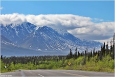[캐나다여행/유콘] 대자연이 숨쉬는 드라이브길, 헤인스 하이웨이(haines highway | 네이트 판