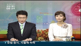 이형걸 이정민(KBS) 이하정 - 아나운서 갤러리