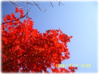 산행기 - 치악산(가을의치악)