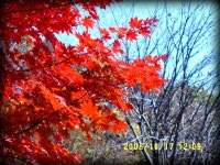 산행기 - 치악산(가을의치악)