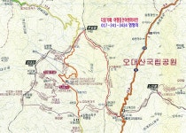 산행기 - 가라고 가랑비? 있으라고 이슬비?... 동대산~두로봉~상원사주차장...2008.10.25