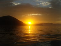 조행기 175 페이지 > 인터넷바다낚시