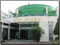 대나무의 고장 `담양`을 가다 > 근교여행