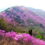 국밥 한그릇의 행복