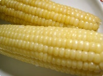 옥수수 삶기 :: 옥수수,강냉이,네이트 지식,압력솥에 다시마를 넣... 맛집 정보 검색 NO.1 사이트, 메뉴판닷컴 :: 맛집 정보가 가득